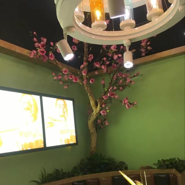 展会绿植批发案例