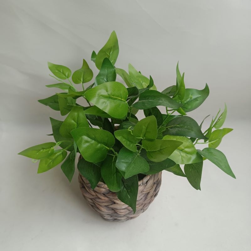 东莞仿真植物