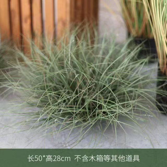 五指山仿真植物