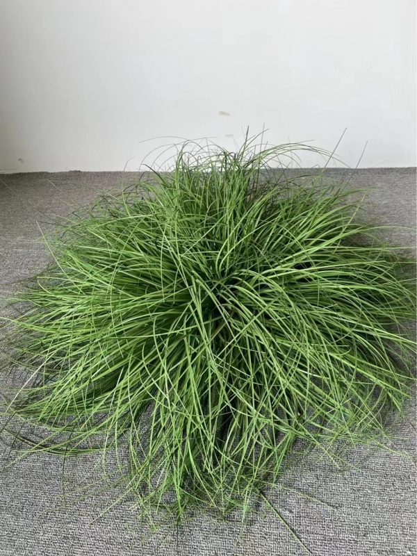 东莞仿真植物